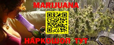 сатива Ачхой-Мартан