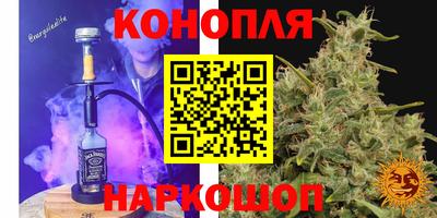 сатива Ачхой-Мартан