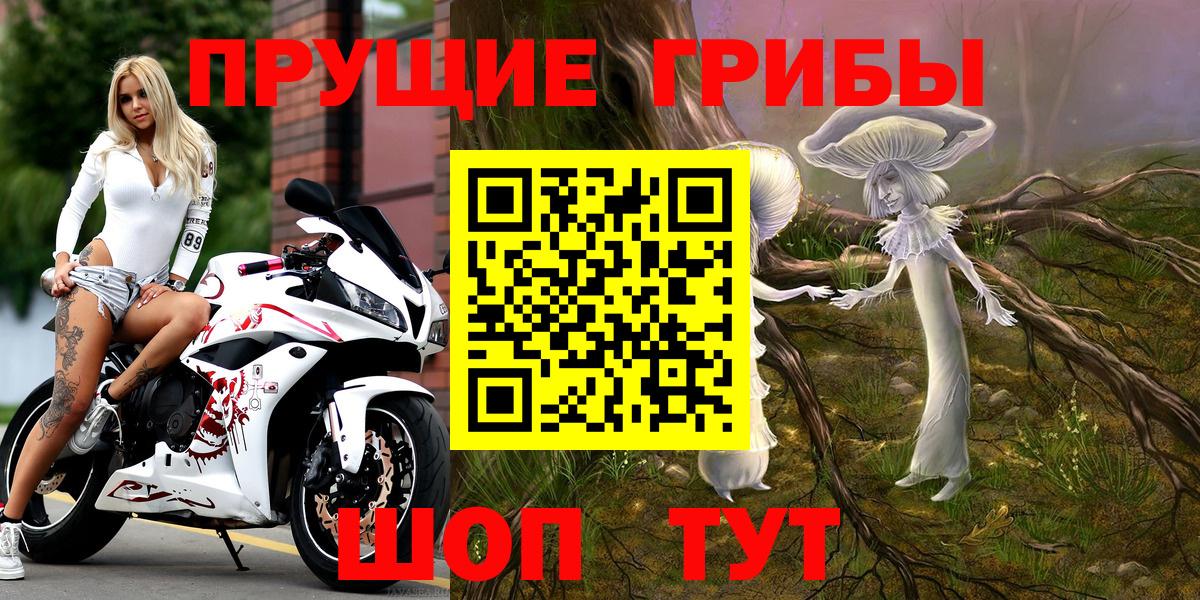 Галлюциногенные грибы Psilocybine cubensis  Вход с VPN  Галлюциногенные грибы Magic Shrooms  Аргун 