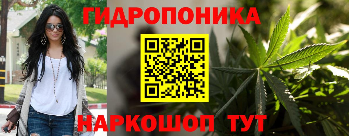 Бошки Шишки SATIVA & INDICA  Вход с VPN  Аргун  Канабис индика  МАРИХУАНА сатива 